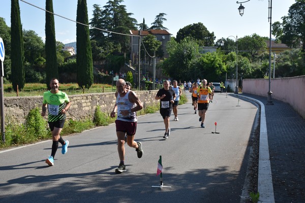Maratonina di Villa Adriana [TOP] (28/05/2023) 0105