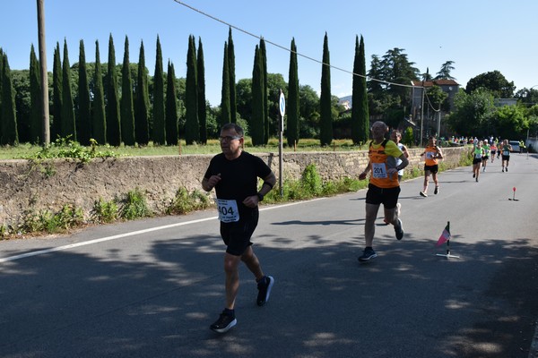 Maratonina di Villa Adriana [TOP] (28/05/2023) 0115