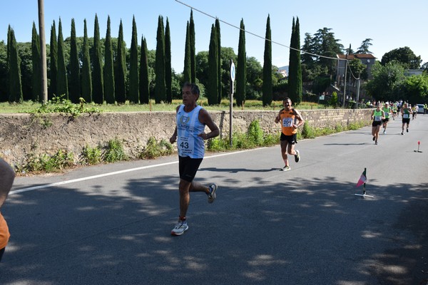 Maratonina di Villa Adriana [TOP] (28/05/2023) 0117