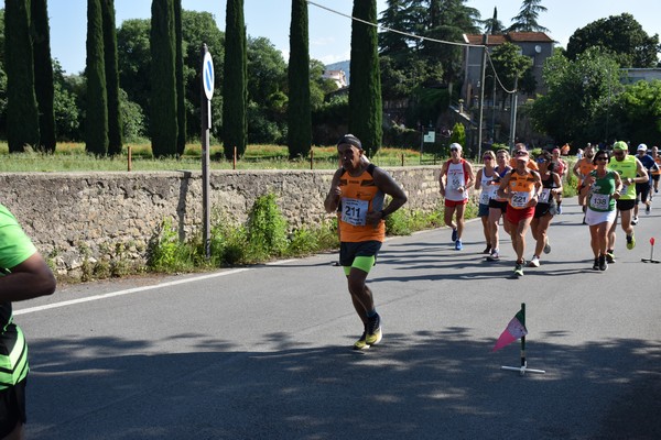 Maratonina di Villa Adriana [TOP] (28/05/2023) 0133