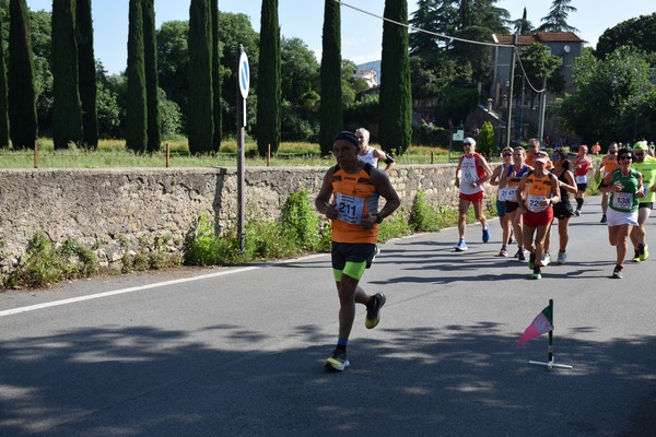 Maratonina di Villa Adriana [TOP] (28/05/2023) 0134
