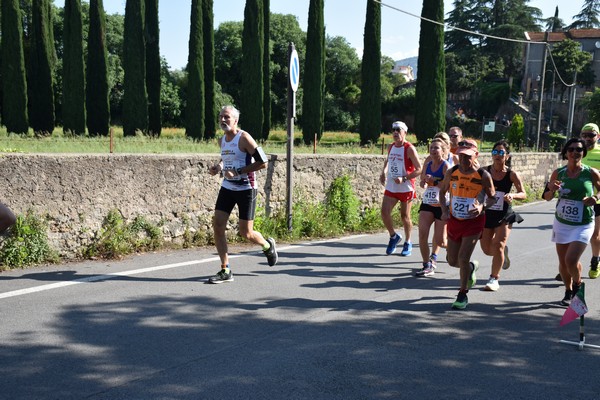 Maratonina di Villa Adriana [TOP] (28/05/2023) 0135