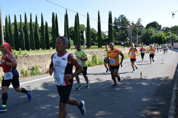 Maratonina di Villa Adriana [TOP] (28/05/2023) 0150