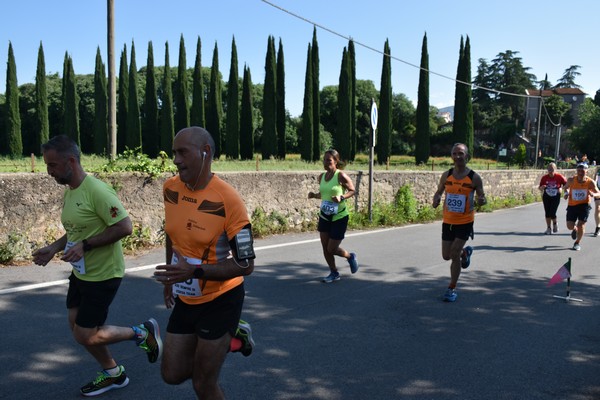 Maratonina di Villa Adriana [TOP] (28/05/2023) 0153