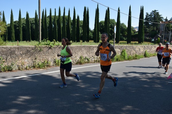 Maratonina di Villa Adriana [TOP] (28/05/2023) 0154