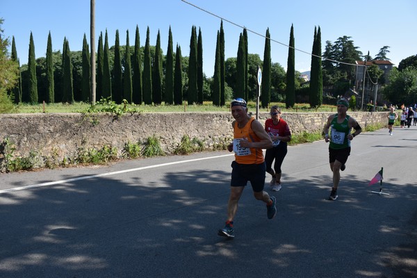 Maratonina di Villa Adriana [TOP] (28/05/2023) 0156