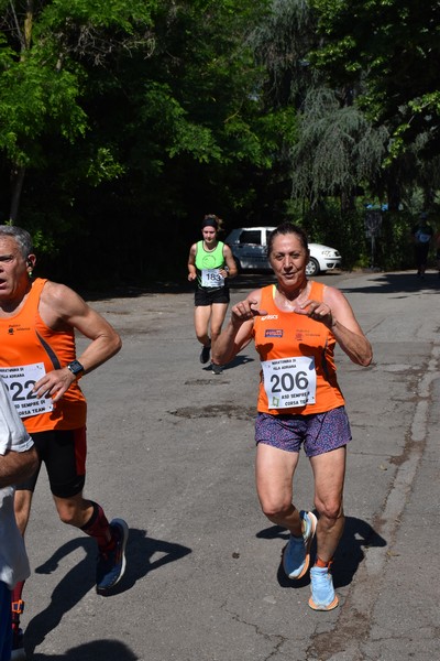 Maratonina di Villa Adriana [TOP] (28/05/2023) 0084