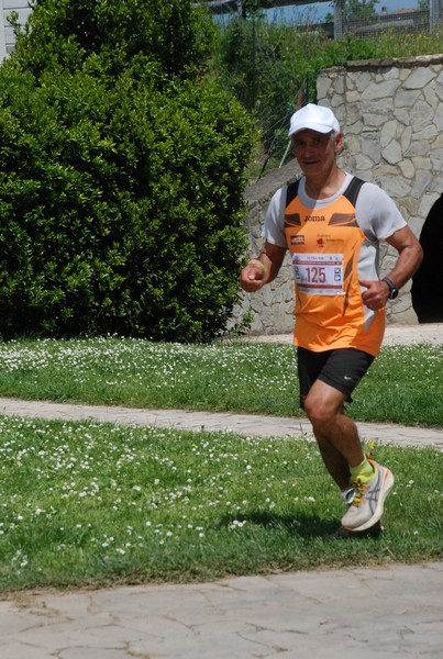 Crete Senesi Ultra Marathon 50K (05/05/2024) 0007