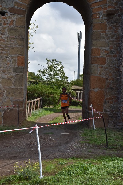 Trofeo Podistica Solidarietà [TOP] (28/09/2024) 0011