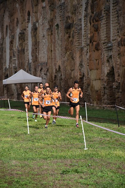 Trofeo Podistica Solidarietà [TOP] (28/09/2024) 0012