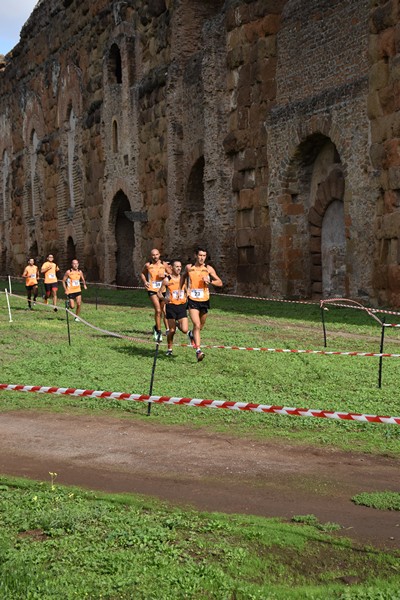 Trofeo Podistica Solidarietà [TOP] (28/09/2024) 0014