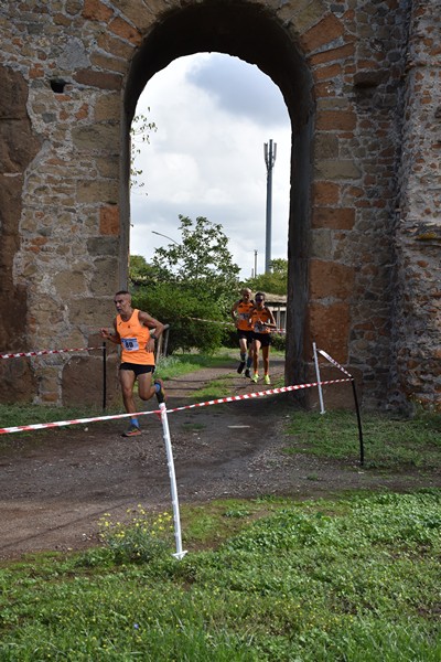 Trofeo Podistica Solidarietà [TOP] (28/09/2024) 0017