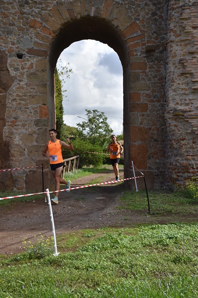 Trofeo Podistica Solidarietà [TOP] (28/09/2024) 0035