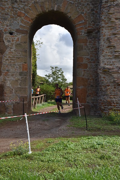 Trofeo Podistica Solidarietà [TOP] (28/09/2024) 0038