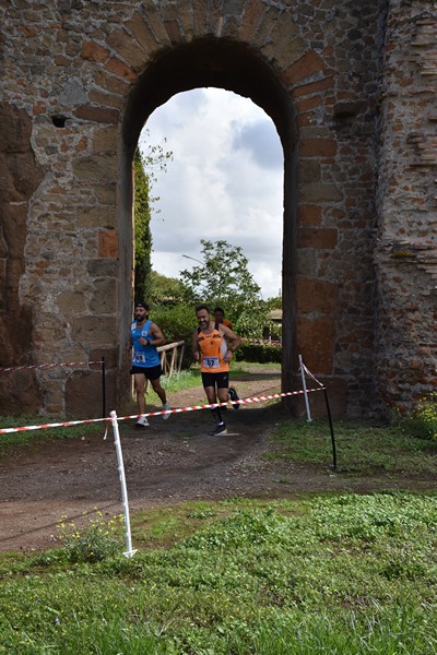 Trofeo Podistica Solidarietà [TOP] (28/09/2024) 0040