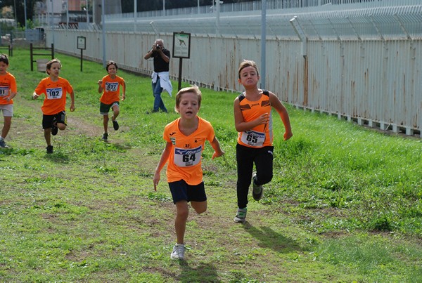 Trofeo Arancini Podistica Solidarietà (28/09/2024) 0040