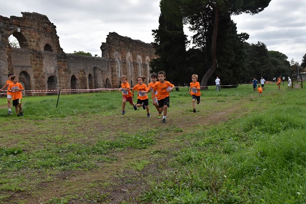 Trofeo Arancini Podistica Solidarietà (28/09/2024) 0027