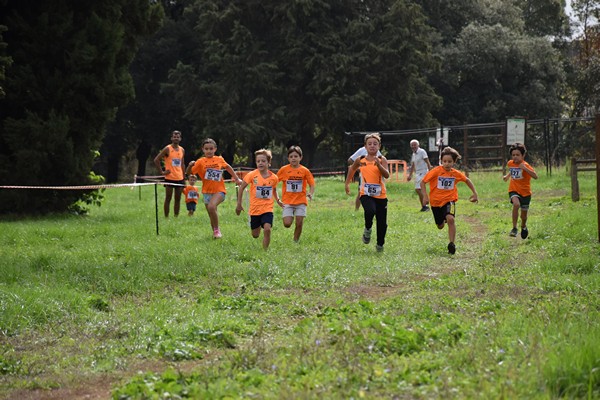 Trofeo Arancini Podistica Solidarietà (28/09/2024) 0053