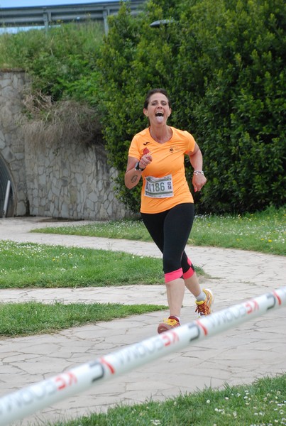 Crete Senesi Ultra Marathon 50K (05/05/2024) 0031