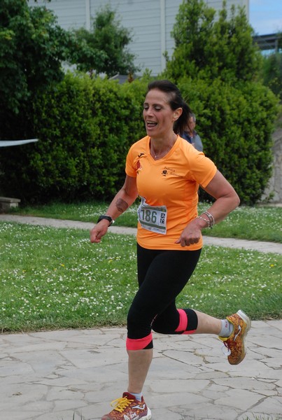 Crete Senesi Ultra Marathon 50K (05/05/2024) 0033