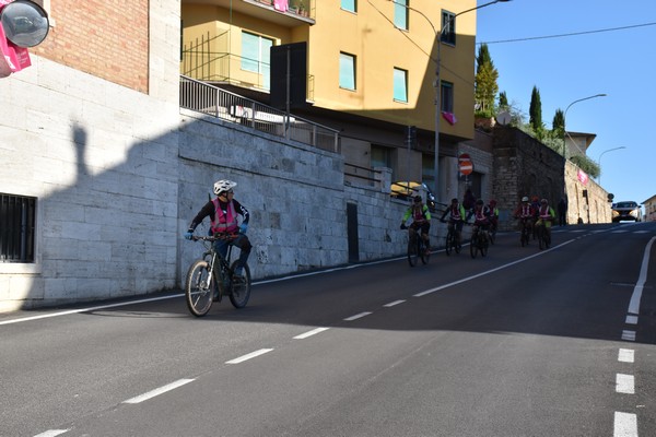 Crete Senesi Ultra Marathon 50K (05/05/2024) 0001