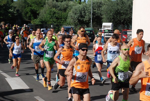 Maratonina di Villa Adriana (26/05/2024) 0013