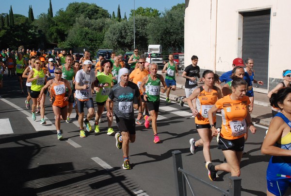 Maratonina di Villa Adriana (26/05/2024) 0029