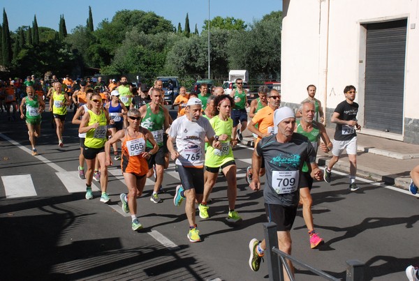 Maratonina di Villa Adriana (26/05/2024) 0030
