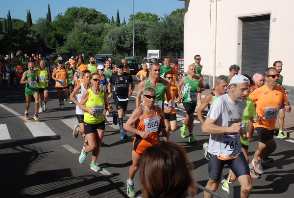 Maratonina di Villa Adriana (26/05/2024) 0031