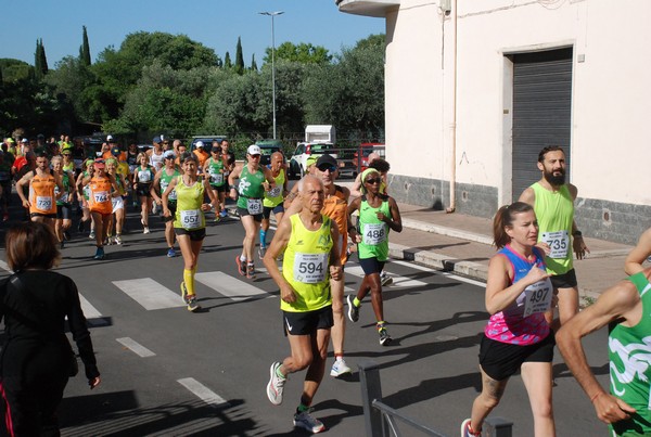 Maratonina di Villa Adriana (26/05/2024) 0035