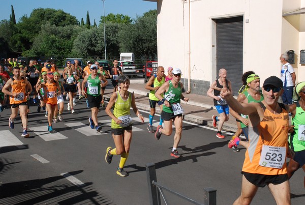 Maratonina di Villa Adriana (26/05/2024) 0037