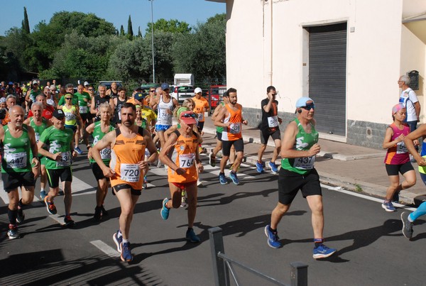Maratonina di Villa Adriana (26/05/2024) 0040