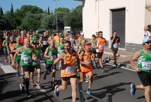 Maratonina di Villa Adriana (26/05/2024) 0041