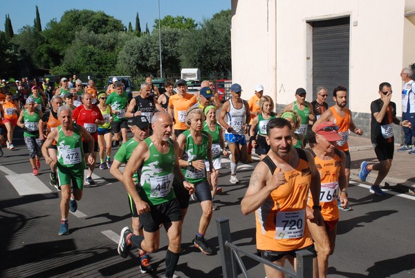 Maratonina di Villa Adriana (26/05/2024) 0042
