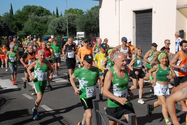 Maratonina di Villa Adriana (26/05/2024) 0043