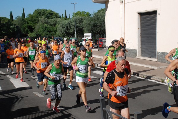 Maratonina di Villa Adriana (26/05/2024) 0046