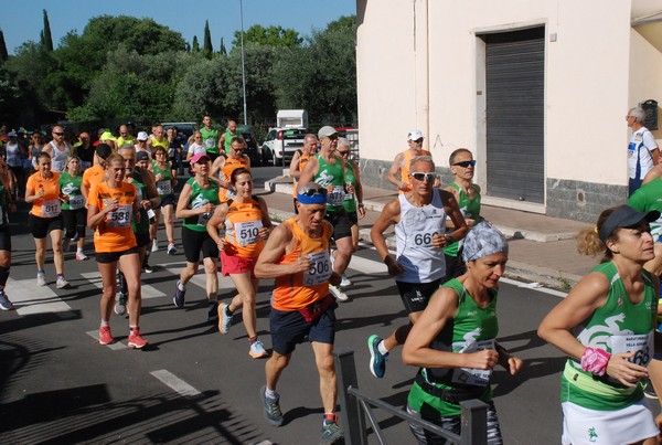 Maratonina di Villa Adriana (26/05/2024) 0048