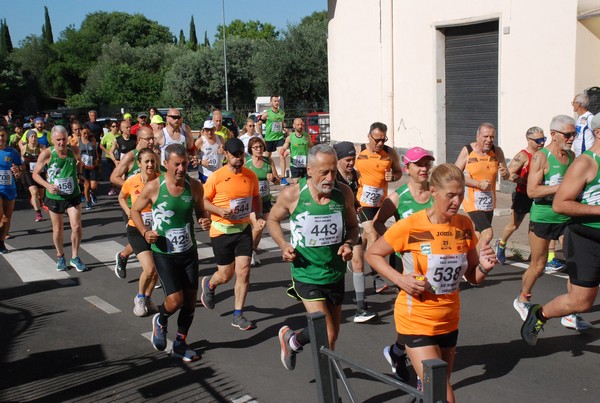 Maratonina di Villa Adriana (26/05/2024) 0051