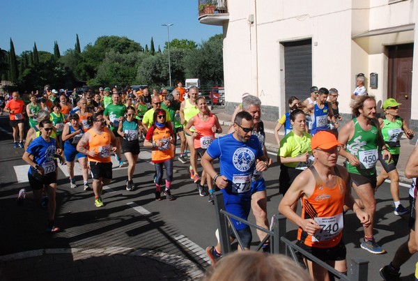 Maratonina di Villa Adriana (26/05/2024) 0065