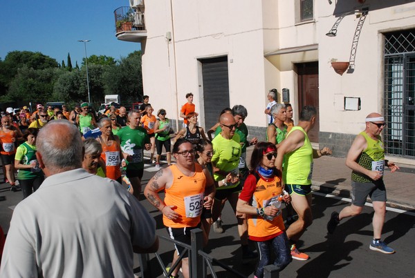 Maratonina di Villa Adriana (26/05/2024) 0067