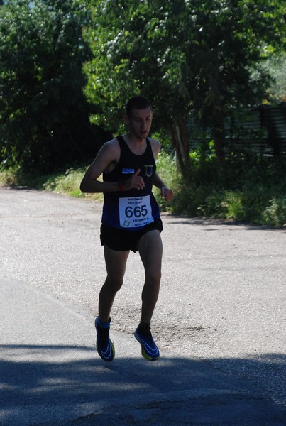 Maratonina di Villa Adriana (26/05/2024) 0005