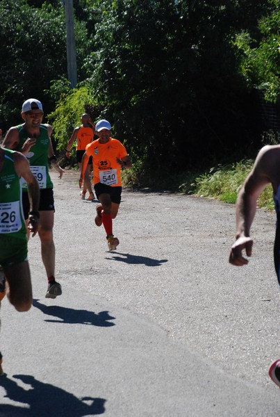 Maratonina di Villa Adriana (26/05/2024) 0051