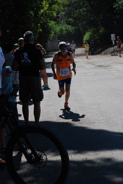 Maratonina di Villa Adriana (26/05/2024) 0087