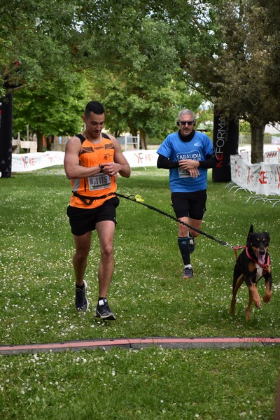 Crete Senesi Ultra Marathon 50K (05/05/2024) 0074