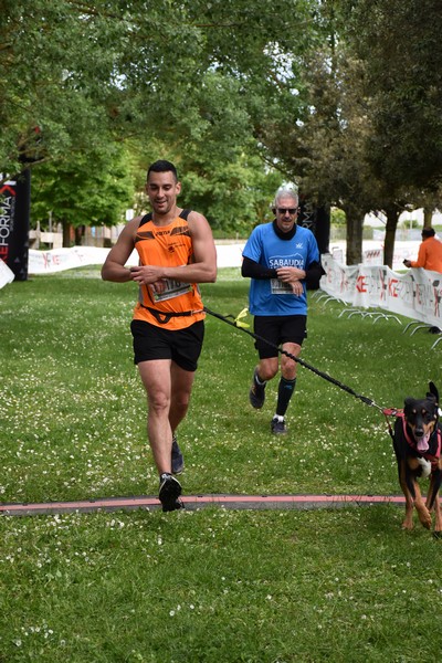 Crete Senesi Ultra Marathon 50K (05/05/2024) 0076