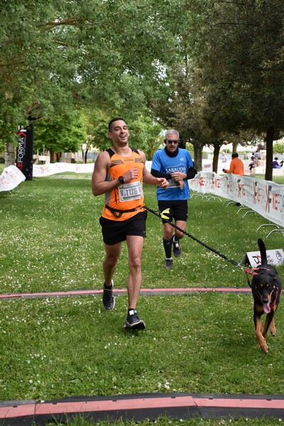 Crete Senesi Ultra Marathon 50K (05/05/2024) 0078