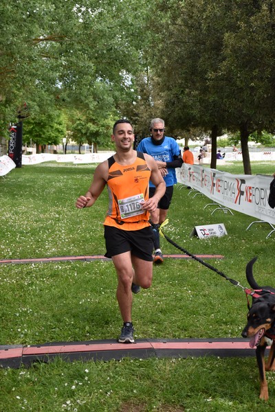 Crete Senesi Ultra Marathon 50K (05/05/2024) 0081