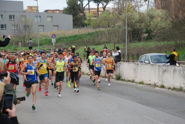 Talenti Run (24/03/2024) 0001