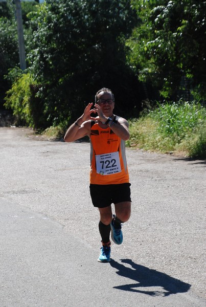 Maratonina di Villa Adriana (26/05/2024) 0014