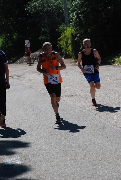 Maratonina di Villa Adriana (26/05/2024) 0020